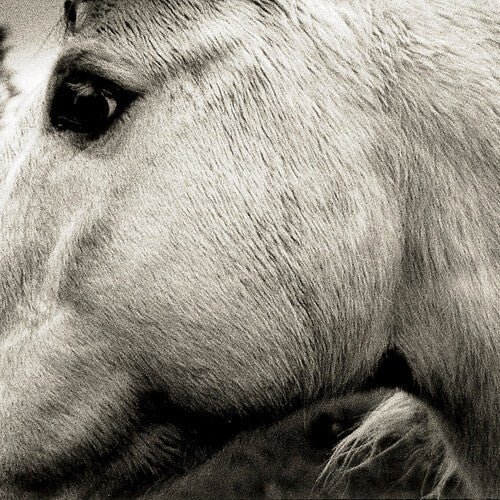 Bonny Light Horseman: Bonny Light Horseman - Record