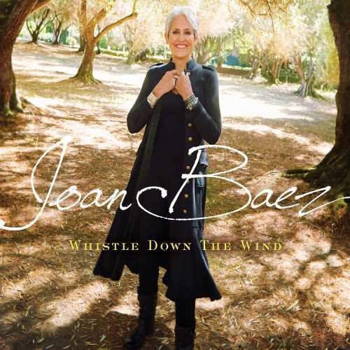 Joan Baez: Whistle Down The Wind - Record
