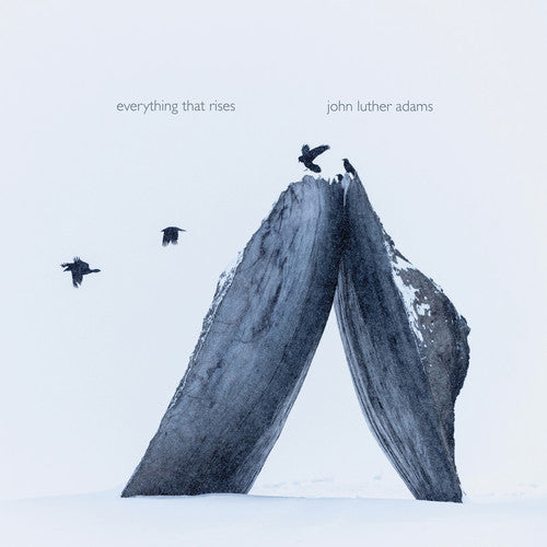 Adams / Jack Quartets: Everything That Rises - Record