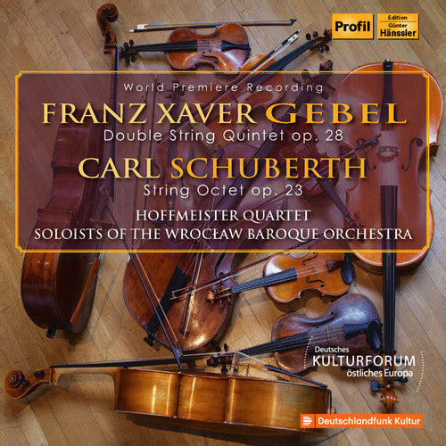 Gebel: Double String Quintet 28 / String Octet - Record