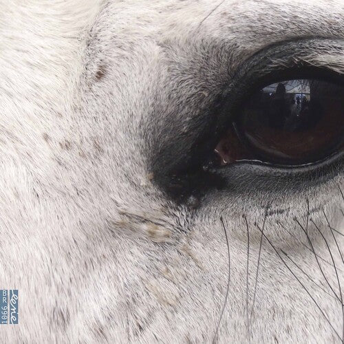 Various: Openings of the Eye - Record