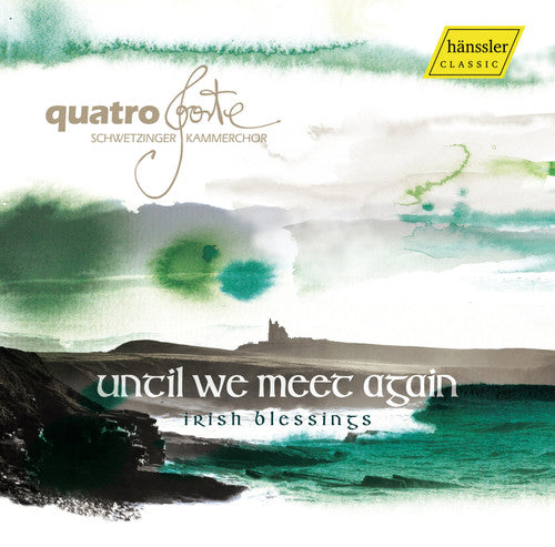 Various Artists: Until We Meet Again - Record