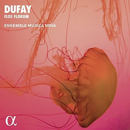 Dufay / Ensemble Musica Nova: Flos Florum - Record