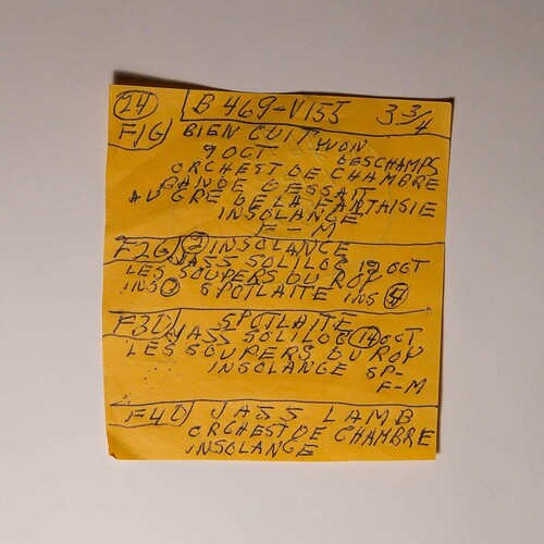 Mac DeMarco: Here Comes The Cowboy Demos - VINYL
