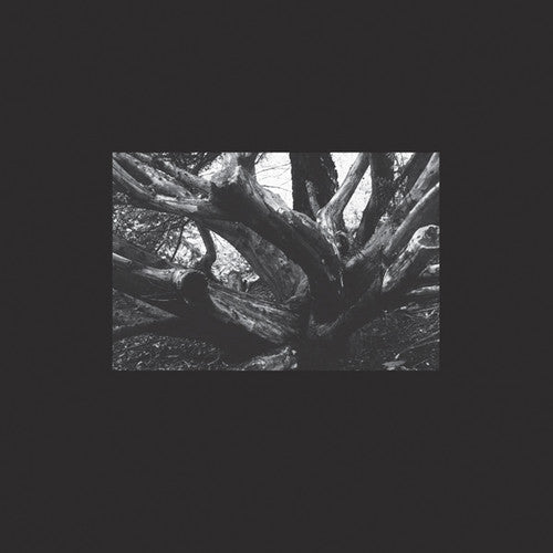 R.A.N.: Seb-i Yelda - 12-INCH SINGLE