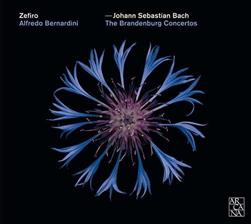 Bach, J.S. / Zefiro / Bernardini: Brandenburg Concertos - Record