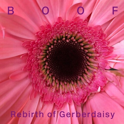 Boof: Rebirth of Gerberdaisy - Record