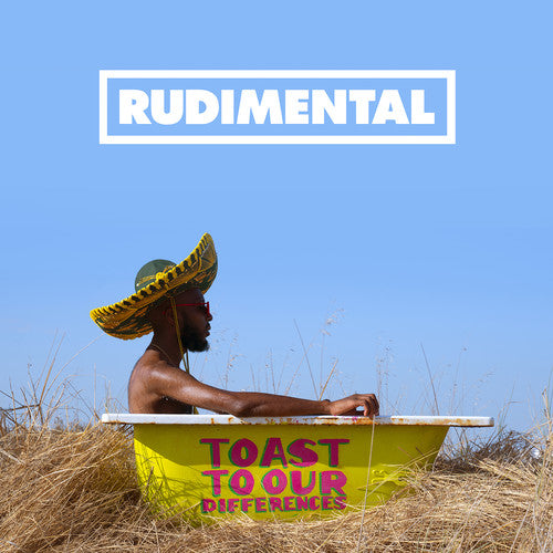 Rudimental: Toast To Our Differences - Record