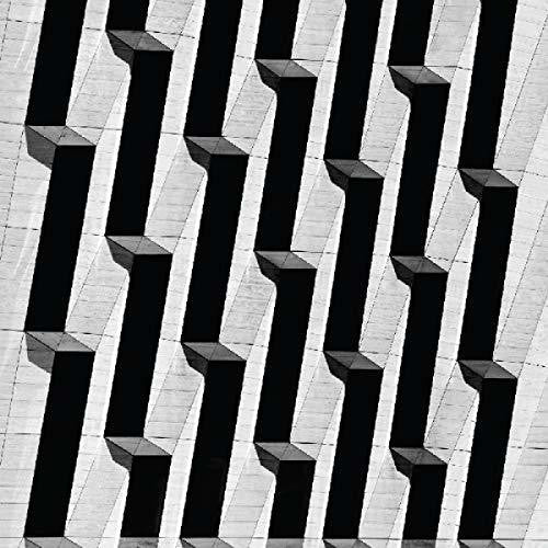 Snow Palms: Everything Ascending - Record