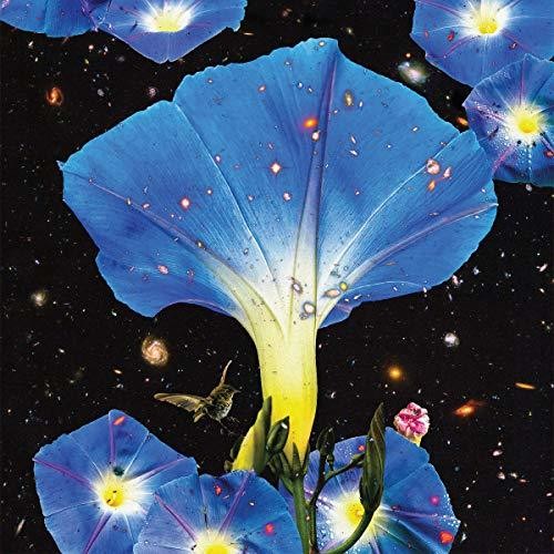 Sarah Louise: Nighttime Birds And Morning Stars - Record