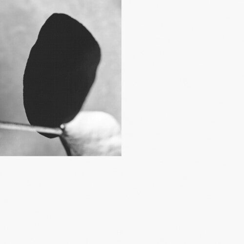 Michalis Moschoutis: Classical Mechanics - Record