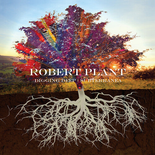 Robert Plant: Digging Deep: Subterranea - CD