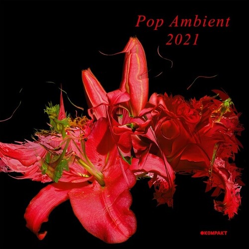 Various Artists: Pop Ambient 2021 (Various Artists) - Record