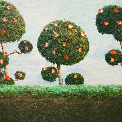 Midnight Sister- Painting the Roses { VINYL LP }