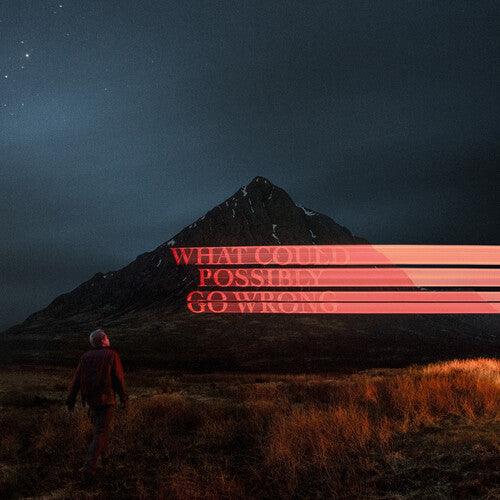 Dominic Fike- What Could Possibly Go Wrong { VINYL LP }