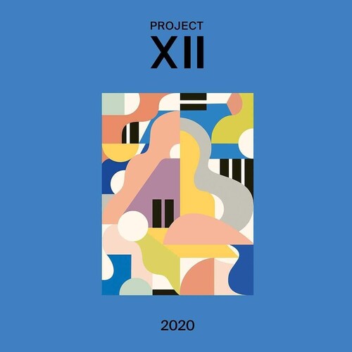 Various Artists: Xii 2020 - Record