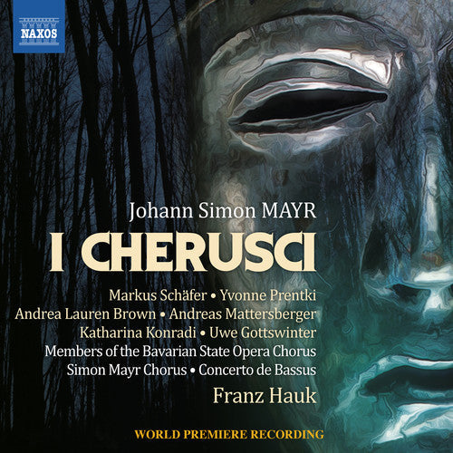 Mayr / Schafer / Hauk: I Cherusci - Record