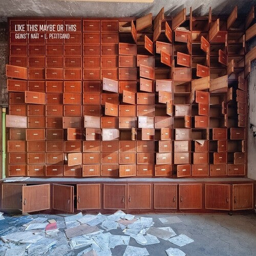 Geins't Nait / Petitgand, Laura: Like This Maybe Or This - Record