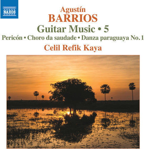 Barrios / Kaya: Guitar Music 5 - Record