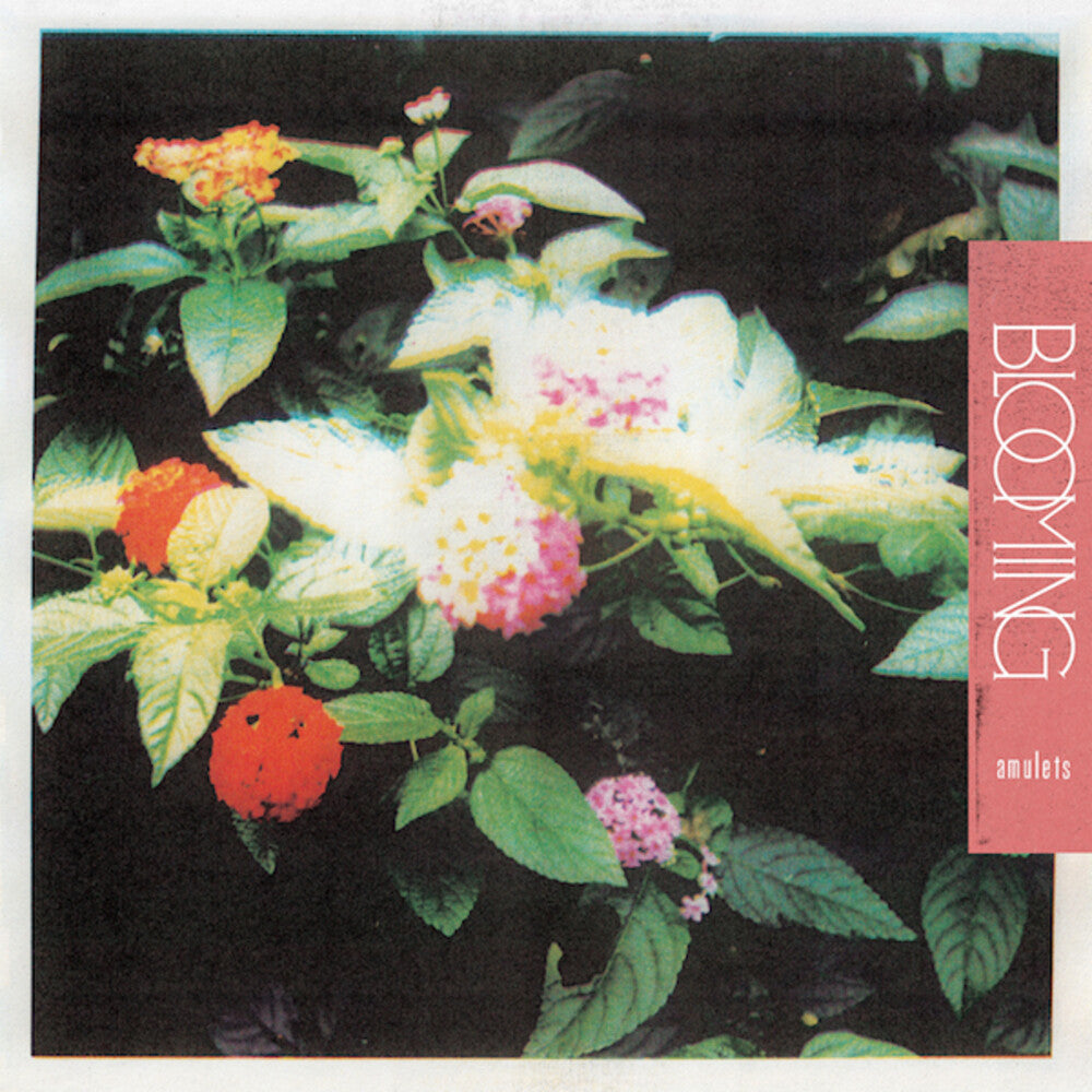 Amulets- Blooming { VINYL LP }
