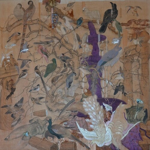 Howie Lee: Birdy Island - Record