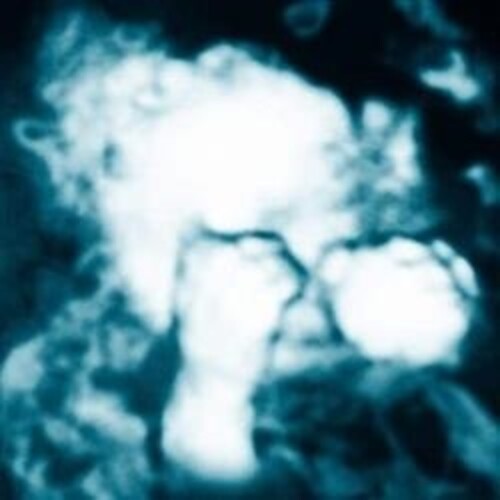Sandra Monfort- Nino Reptil Angel { VINYL LP }