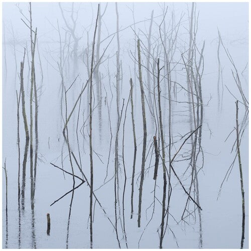 Olhava: Frozen Bloom - VINYL