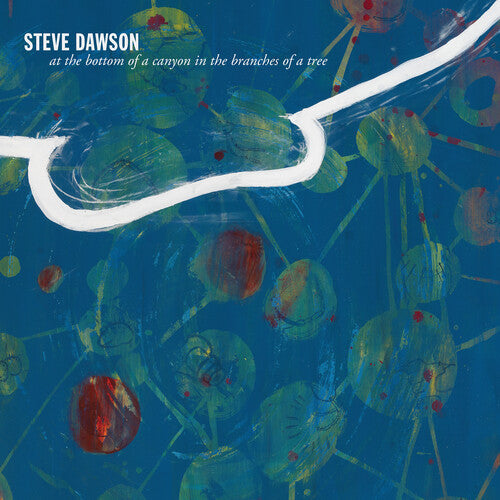 Steve Dawson- At The Bottom Of A Canyon In The Branches Of Tree { VINYL LP }