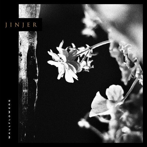 Jinjer: Wallflowers - CD