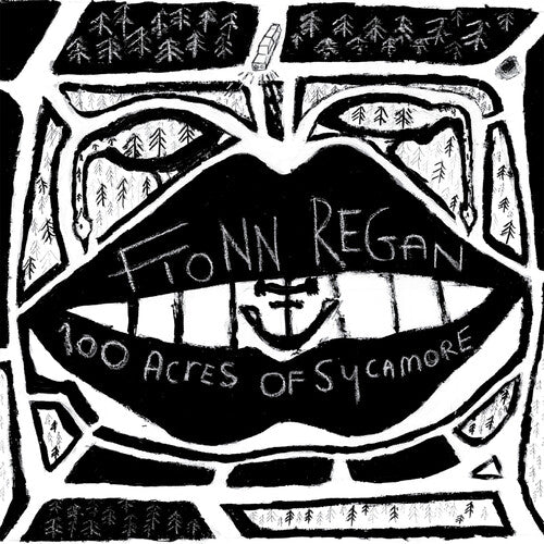 Fionn Regan: 100 Acres Of Sycamore - VINYL