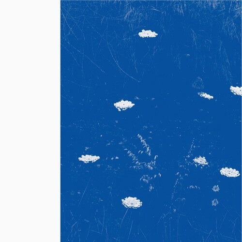 Merzbow: Flare Blues - Record