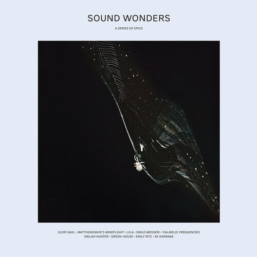 Various Artists: Sound Wonders (Various Artists) - Record