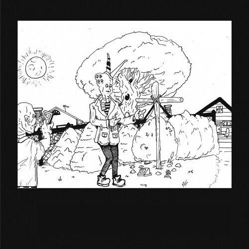 Teen Suicide- It's the Big Joyous Celebration Let's Stir the Honeypot { VINYL LP }
