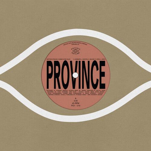 Bartees Strange- Province / Ever New { VINYL LP }