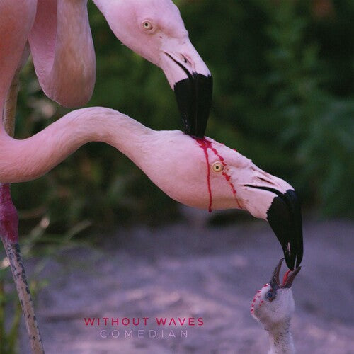 Without Waves: Comedian - CD
