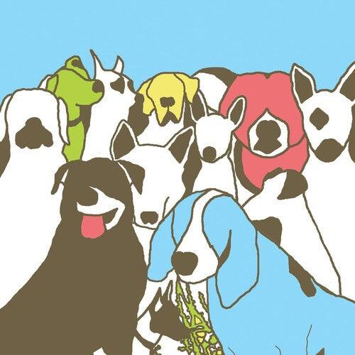 The Format- Dog Problems { VINYL LP }