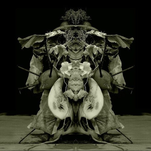 Gurun Gurun: Uzu Oto - Record