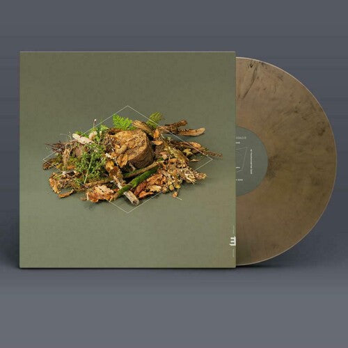 Fergus McCreadie: Forest Floor - VINYL
