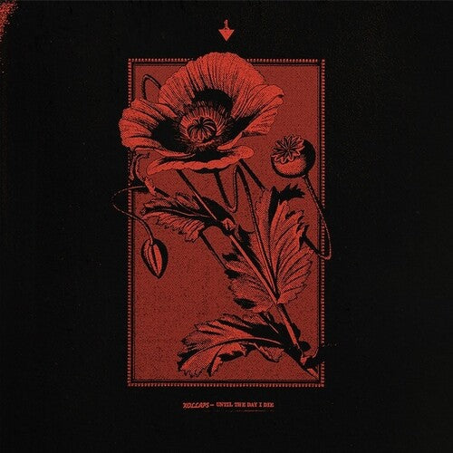 Kollaps: Until The Day I Die - Record