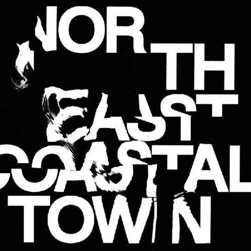 The Life- North East Coastal Town { VINYL LP }