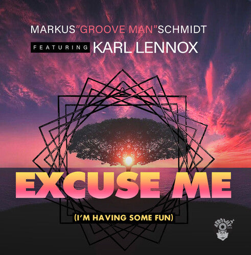 Markus Schmidt: Excuse Me (I'm Having Some Fun) - Record