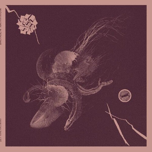 Aaron Turner: Now That You've Found It - VINYL