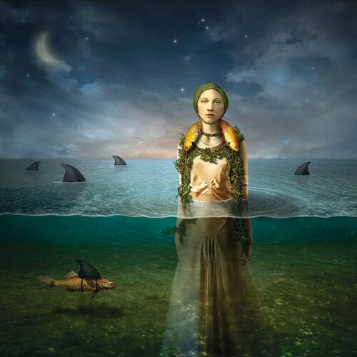 The Bled- Found In The Flood { VINYL LP }