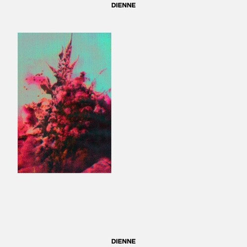 Dienne: Addio - Record
