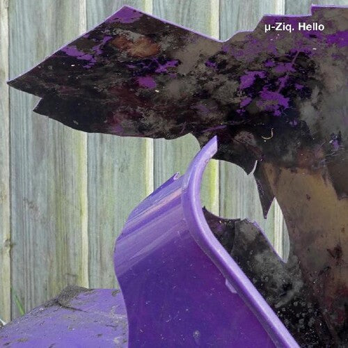 U-Ziq: Hello/goodbye - Record