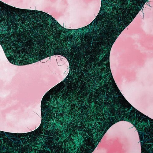 Lee Paradise: & Co - Record