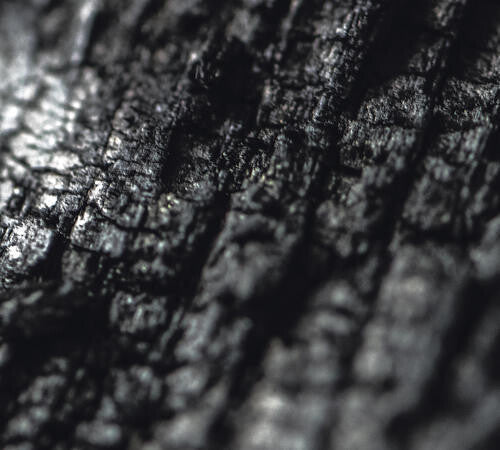Parallel Worlds: Plector - Record