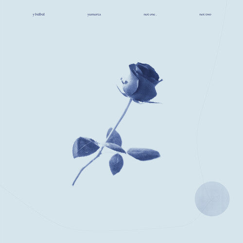 Y Bulbul / Yumurta: Not One, Not Two - Record