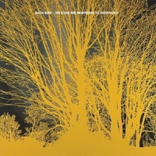 Nada Surf: Stars Are Indifferent To Astronomy - VINYL