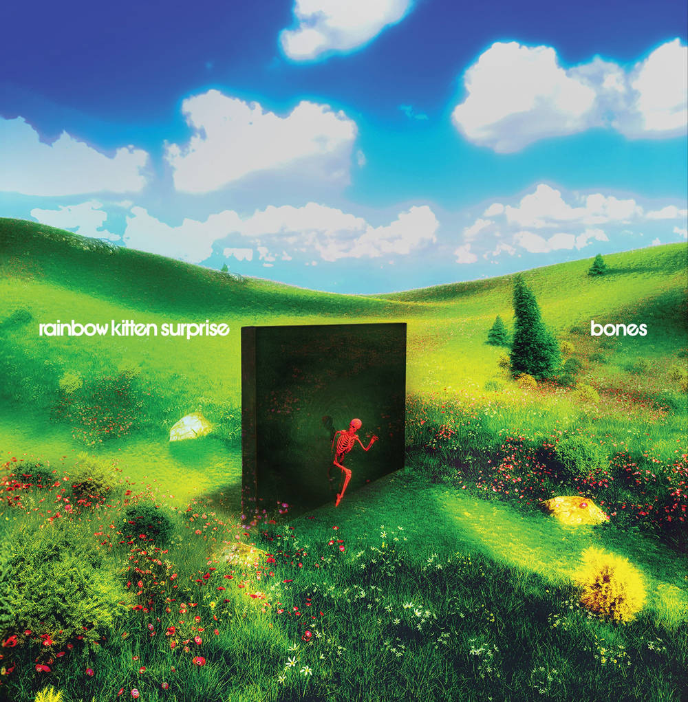Rainbow Kitten Surprise- bones { VINYL LP }